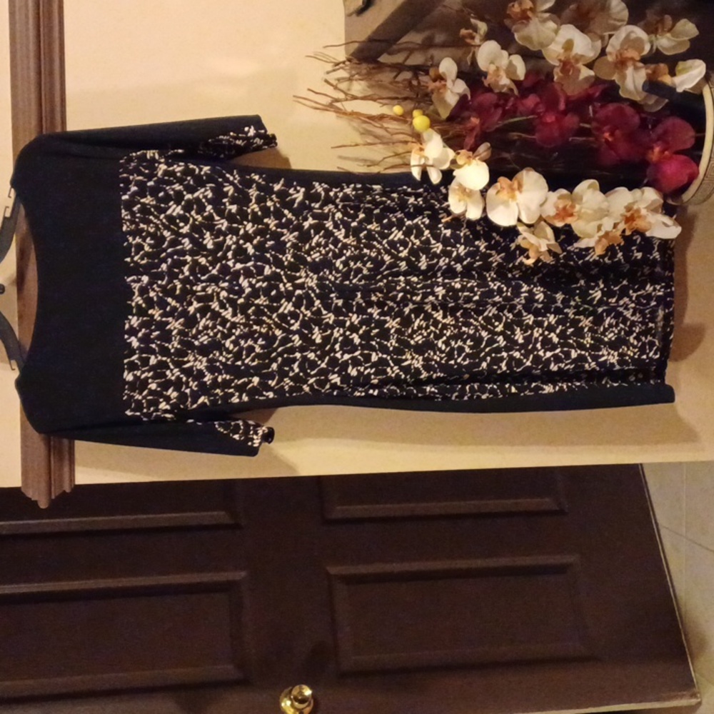 Chaps Dress - Picture 4 of 5